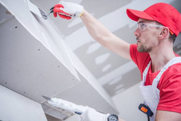 Trusted Bellview, FL Drywall & Painting Services Experts